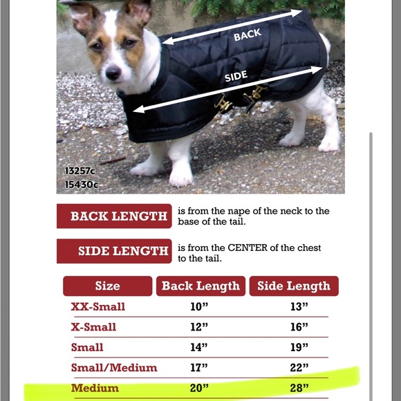 Dura-tech quilted navy blue dog coat - Picture 1 of 3